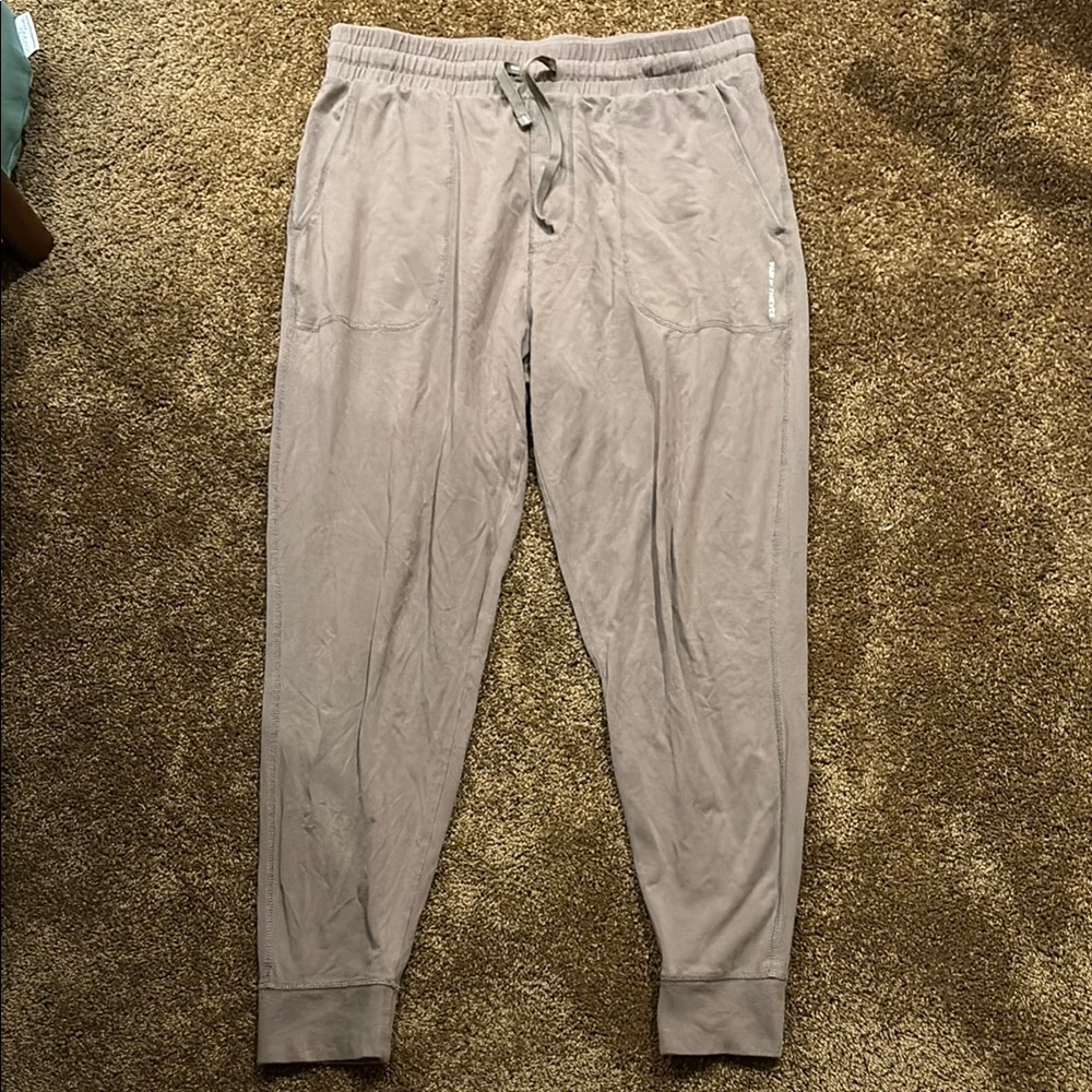Pair of Thieves Jogger Pants